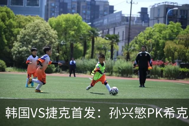 韩国VS捷克首发：孙兴慜PK希克 李刚仁绍切克登场